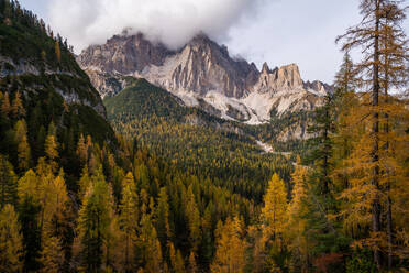 Drohne Blick auf majestätische Landschaft mit Nadelbäumen auf Dolomiten Bergkette unter bewölktem Himmel - ADSF43426