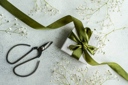 Von oben Geschenkbox mit grünem Band und weißen Gypsophila-Blüten auf Betonhintergrund - ADSF43457