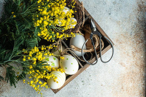 Osterkartenkonzept mit Nest und leuchtend gelben Mimosenblüten - ADSF43459