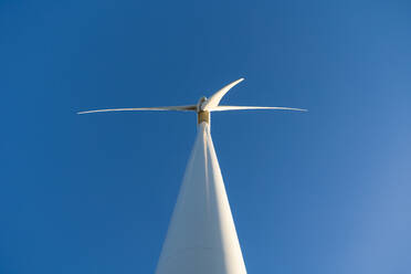 Weiße Windturbine für alternative Energieerzeugung vor wolkenlosem blauem Himmel von unten - ADSF43479