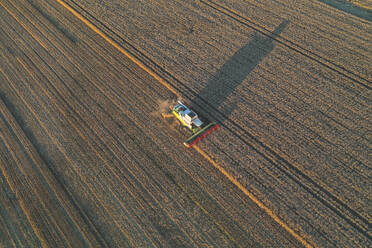 Aerial view of grain harvesting by reaper in large field in Belgium. - AAEF17545