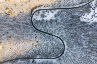 Aerial view of a serpentine road crossing a forest in wintertime with snow on Mount Terminio, Serino, Avellino, Irpinia, Campania, Italy. - AAEF17695