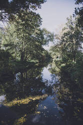 Der See spiegelt die umliegenden Bäume im Frühherbst - ANHF00229