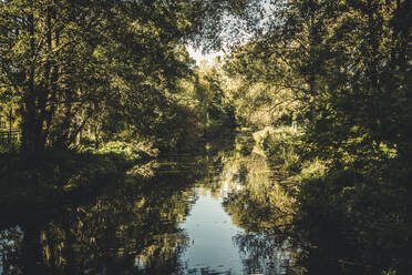 Der See spiegelt die umliegenden Bäume im Frühherbst - ANHF00230