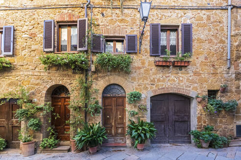 Italien, Toskana, Pienza, Pflanzen in Töpfen vor den Haustüren zweier nebeneinander stehender Häuser - FOF13619