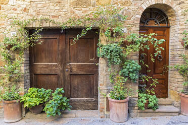 Italien, Toskana, Pienza, Topfpflanzen vor dem Haus - FOF13622