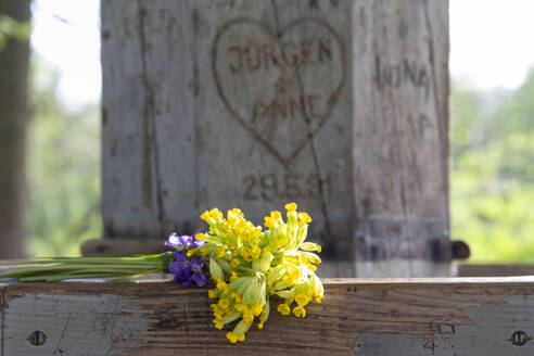 Bouquet of yellow flowers lying on wooden bench - MAMF02705