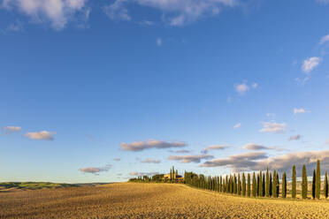 Italy, Tuscany, Castiglione d’Orcia, Sky over treelined road in d’Orcia - FOF13628