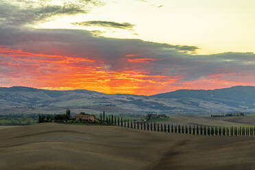 Italien, Toskana, Castiglione d'Orcia, Hügellandschaft Val d'Orcia in stimmungsvoller Dämmerung - FOF13635