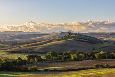 Italien, Toskana, Castiglione d'Orcia, Hügellandschaft des Val d'Orcia in der Morgendämmerung - FOF13637