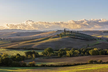 Italy, Tuscany, Castiglione d'Orcia, Rolling landscape of Val d'Orcia at dawn - FOF13637