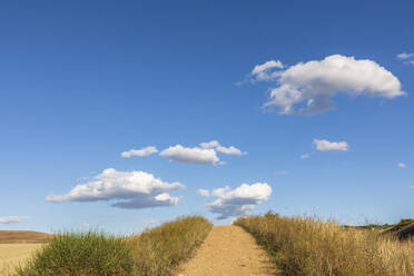 Italy, Tuscany, San Quirico d'Orcia, Blue sky over footpath in Val d'Orcia - FOF13640