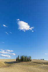 Italy, Tuscany, San Quirico d'Orcia, Blue sky over small grove of cypress trees in Val d'Orcia - FOF13644