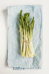 Fresh ramson stems on napkin - ONAF00449