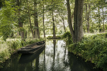 Boot am Kanal inmitten von Bäumen - MJRF00938