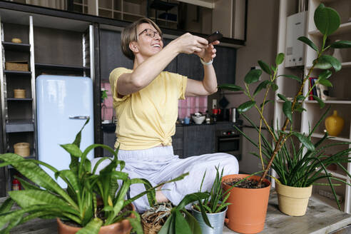 Lächelnde Frau, die zu Hause Topfpflanzen mit ihrem Smartphone fotografiert - VYF00953