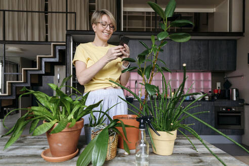 Reife Frau, die ein Smartphone benutzt und in der Nähe von Zimmerpflanzen steht - VYF00954