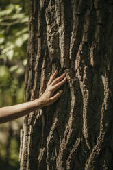 Frau berührt Rinde eines Baumes an einem sonnigen Tag - MJRF00981