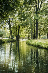 Kanal inmitten von üppigen Bäumen im Spreewald - MJRF01004