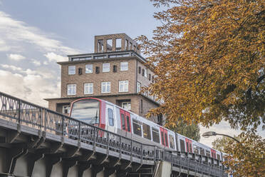 Deutschland, Hamburg, U-Bahn-Zug passiert Stadtbrücke im Herbst - KEBF02674