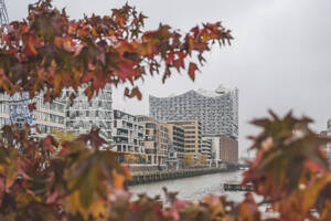 Deutschland, Hamburg, Sandtorhafen im Herbst mit Elbphilharmonie im Hintergrund - KEBF02677