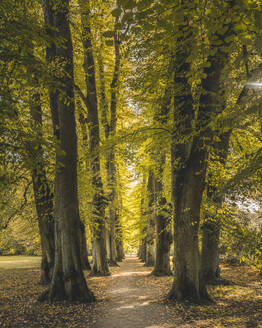 Germany, Hamburg, Empty footpath in Hirschpark during autumn - KEBF02679