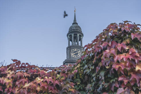 Deutschland, Hamburg, Glockenturm der St. Michaelskirche mit Herbstbäumen im Vordergrund - KEBF02682