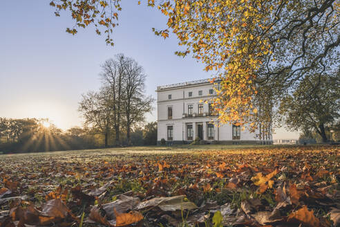 Deutschland, Hamburg, Blätter vor dem Jenisch-Haus bei Herbstsonnenaufgang - KEBF02690