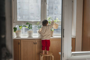 Boy watering plants standing on stool at home - ANAF01134