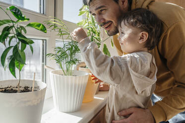 Son touching leaf of plant by father at home - ANAF01135