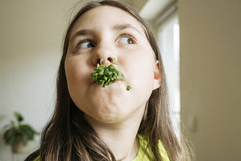 Mädchen isst Microgreens in der Küche zu Hause - OSF01485