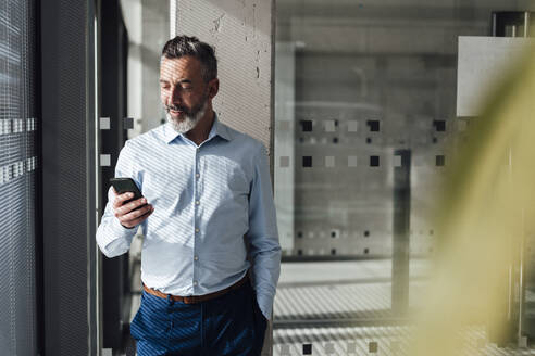 Lächelnder reifer Geschäftsmann, der ein Smartphone im Büro benutzt - JOSEF18004