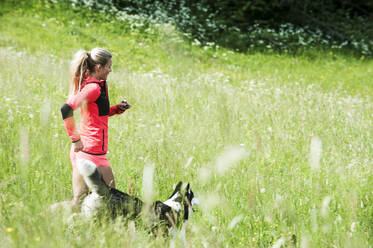 Frau läuft mit Hund in grünem Feld in sonnigen Tag - HHF05831