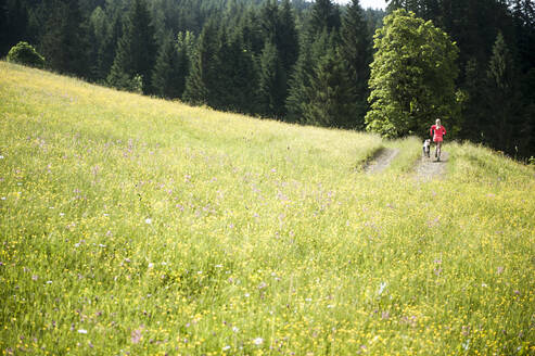 Frau joggt im Feld an einem sonnigen Tag - HHF05832