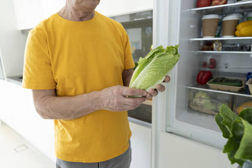 Älterer Mann hält Chinakohl in der Küche zu Hause - SVKF01365
