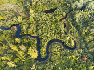 Luftaufnahme des mäandernden Flusses Aa im Wald, Starkriet, Someren-Eind, Noord-Brabant, Niederlande. - AAEF17734