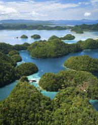 Luftaufnahme der Sugba-Lagune, Siargao, Philippinen. - AAEF17792