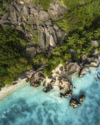 Luftaufnahme der Küstenlinie der Insel La Digue mit Palmen, Seychellen. - AAEF17807