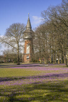 Deutschland, Nordfriesland, Husum, Krokusblüte vor Wasserturm aus dem 19 - KEBF02693