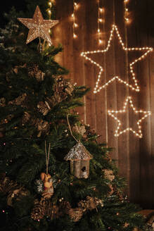 Christmas tree with star shape lights in background - GMLF01387