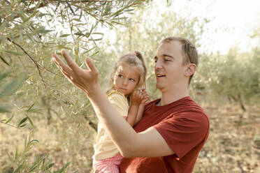 Glücklicher Vater zeigt seiner Tochter die Oliven am Baum - VIVF00487