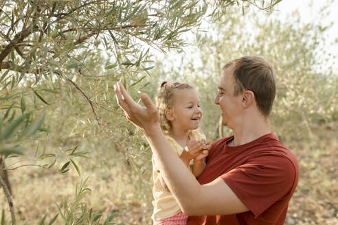 Lächelnder Vater zeigt seiner Tochter im Garten Oliven auf einem Baum - VIVF00488