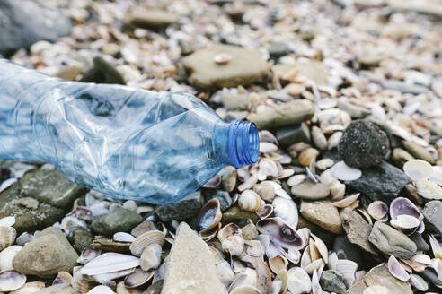 Plastic bottle with seashells at beach - SIF00693