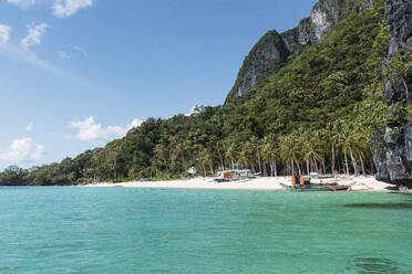 Tropischer Strand in El Nido - PNAF05162