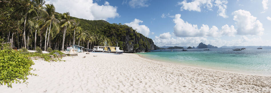 Scenic view of beach by tropical trees - PNAF05168