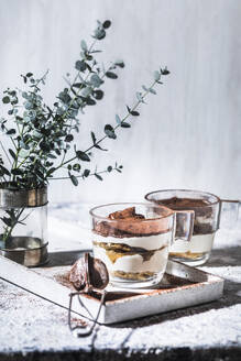 Tiramisu-Dessert in Glasbechern auf dem Tisch - SBDF04615