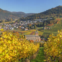 Blick über Weinberge nach Kappelrodeck im Herbst, Schwarzwald, Baden-Württemberg, Deutschland, Europa - RHPLF23754