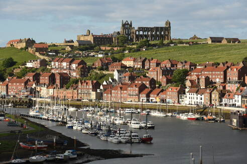 Hafen und Abteiruinen von Whitby, Whitby, Yorkshire, England, Vereinigtes Königreich, Europa - RHPLF23763