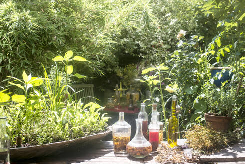 Glasflaschen mit Öl und Essig am Tisch im Garten - HHF05838