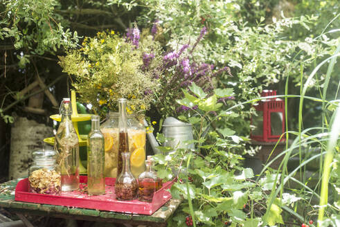 Frische Glasflaschen mit Öl und Essig am Tisch inmitten von Pflanzen im Garten - HHF05839